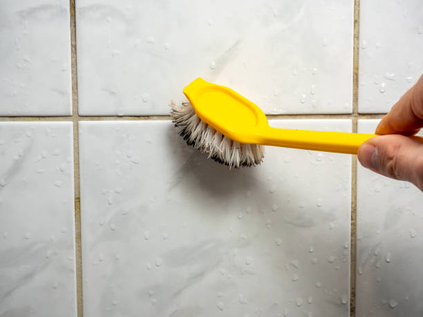 Best Mold Removal Near Me  in Port Barrington, IL