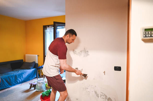 Professional Mold Removal in Port Barrington, IL